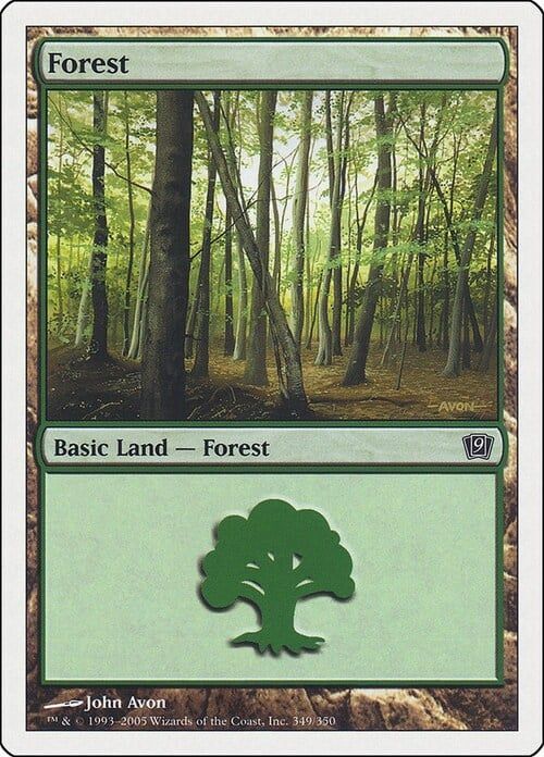 Carta MTG-Foresta (V.3)-Nona Edizione-N.349-RUSSO-EX-