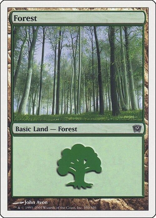 Carta MTG-Foresta (V.4)-Nona Edizione-N.350-ITA-Good-