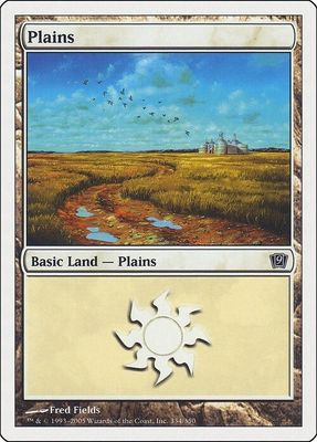 Carta MTG-Pianura (V.4)-Nona Edizione-N.333-ITA-EX-