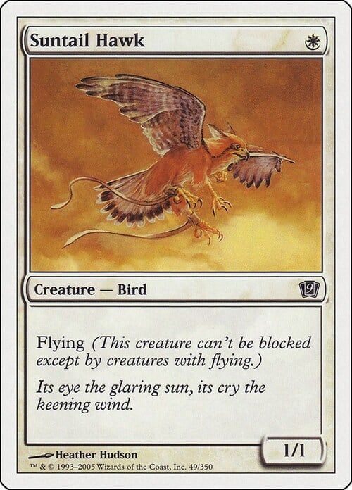 Carta MTG-Falco Astrocoda-Nona Edizione-N.014-ITA-EX-