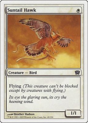 Carta MTG-Falco Astrocoda-Nona Edizione-N.014-ITA-EX-