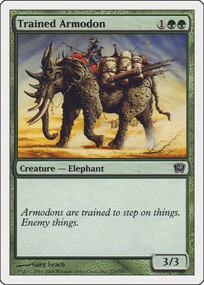 Carta MTG-Armodonte Addestrato-Nona Edizione-N.248-ITA-EX-