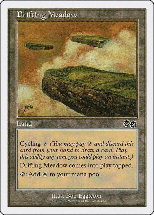 Carta MTG-Drifting Meadow-Battle Royale-N.053-EN-EX-