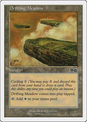Carta MTG-Drifting Meadow-Battle Royale-N.053-EN-EX-