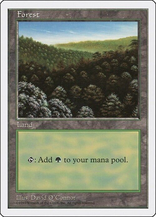 Carta MTG-Forest (V.1)-Quinta Edizione-N.448-EN-EX-