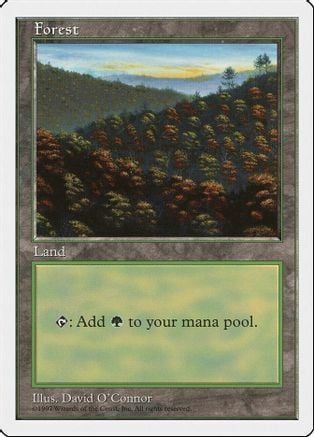 Carta MTG-Forest (V.4)-Quinta Edizione-N.447-EN-EX-