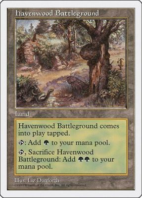 Carta MTG-Campo di Battaglia di Havenwood-Quinta Edizione-N.422-ITA-EX-