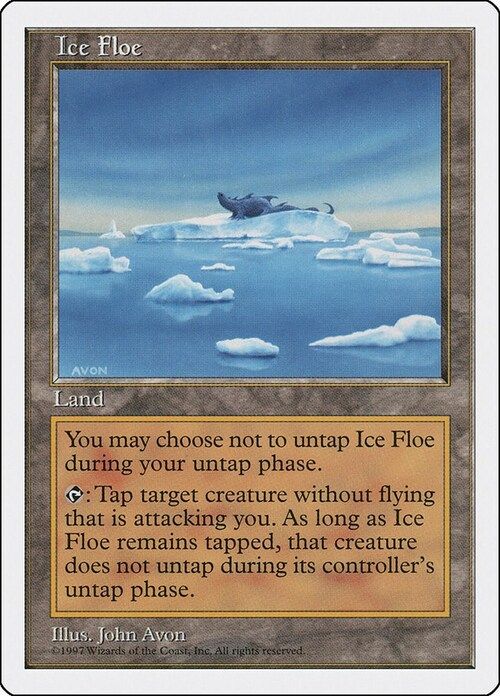 Carta MTG-Ice Floe-Quinta Edizione-N.423-EN-EX-