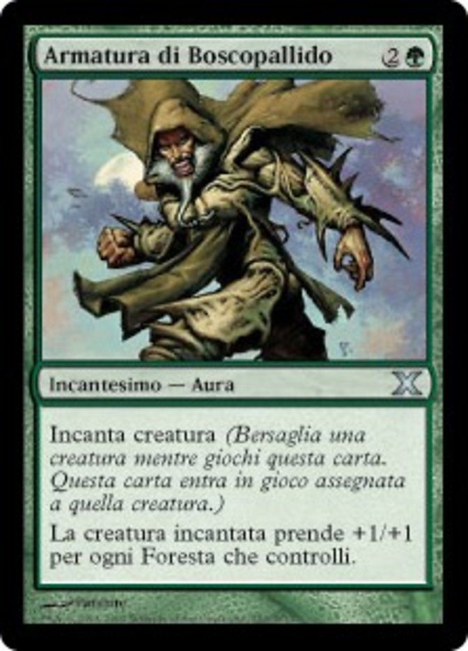 Carta MTG-Armatura di Boscopallido-Decima Edizione-N.253-ITA-EX-Uncommon