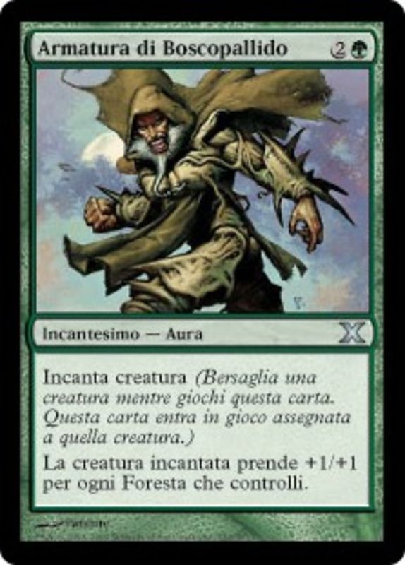 Carta MTG-Armatura di Boscopallido-Decima Edizione-N.253-ITA-EX-Uncommon