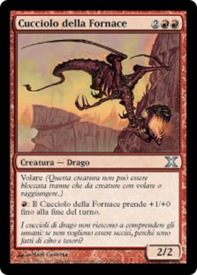 Carta MTG-Cucciolo della Fornace-Decima Edizione-N.205-ITA-Good-Uncommon