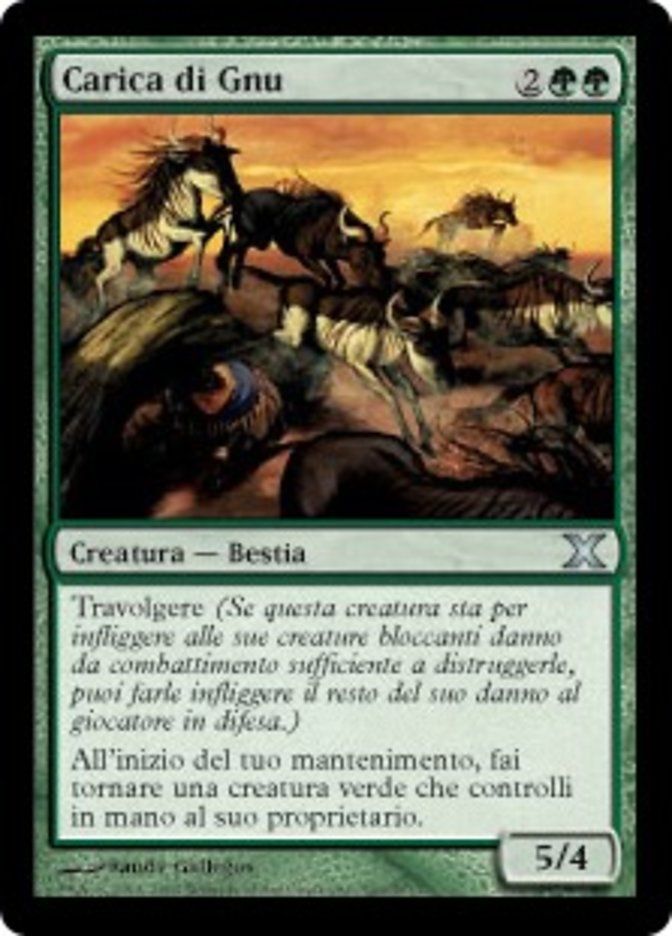 Carta MTG-Carica di Gnu-Decima Edizione-N.300-ITA-EX-Uncommon