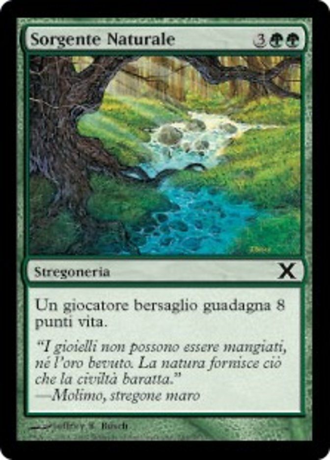 Carta MTG-Sorgente Naturale-Decima Edizione-N.281-ITA-Good-Common