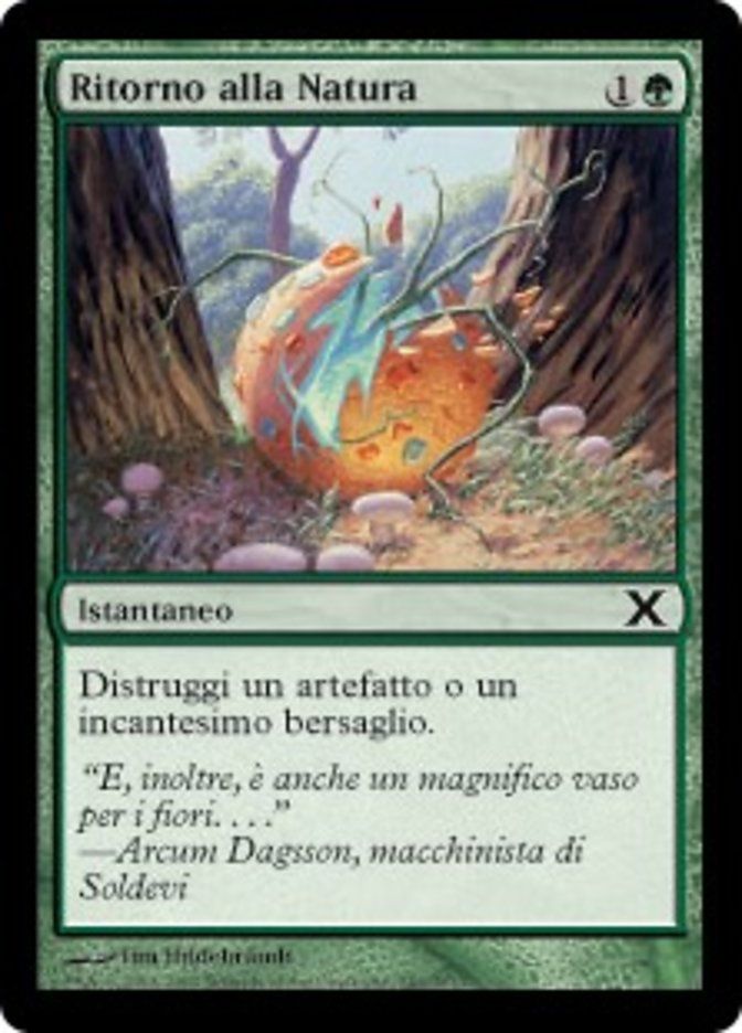 Carta MTG-Ritorno alla Natura-Decima Edizione-N.282-ITA-EX-Common