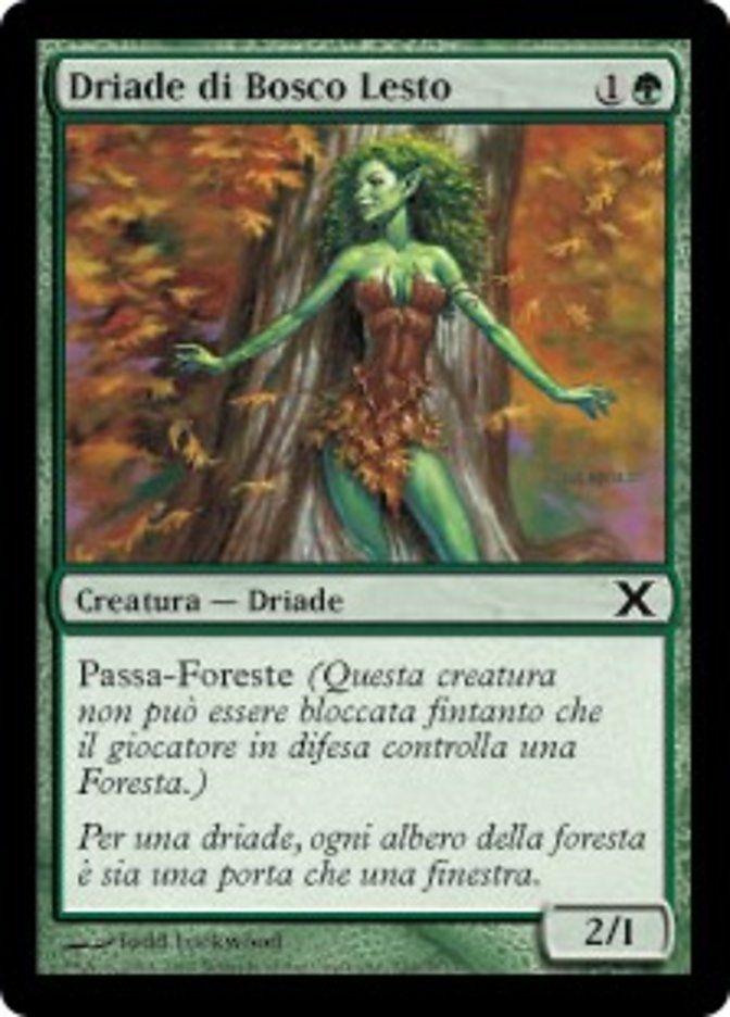 Carta MTG-Driade di Bosco Lesto-Decima Edizione-N.294-ITA-EX-Common