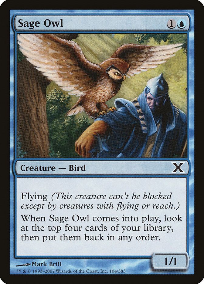 Carta MTG-Sage Owl -Decima Edizione-N.104-EN-EX-Common