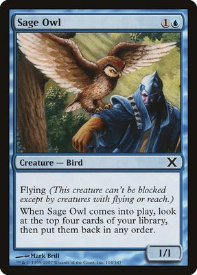 Carta MTG-Sage Owl -Decima Edizione-N.104-EN-EX-Common