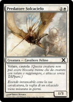 Carta MTG-Predatore Solcacielo-Decima Edizione-N.042-ITA-LP-Common