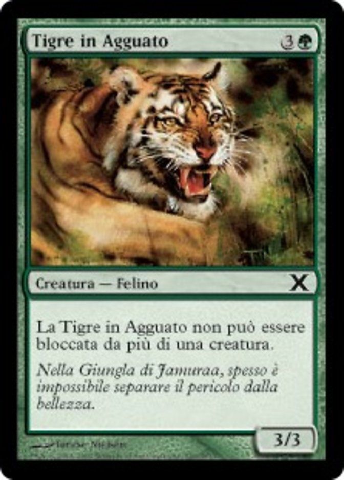 Carta MTG-Tigre in Agguato-Decima Edizione-N.299-ITA-EX-Common