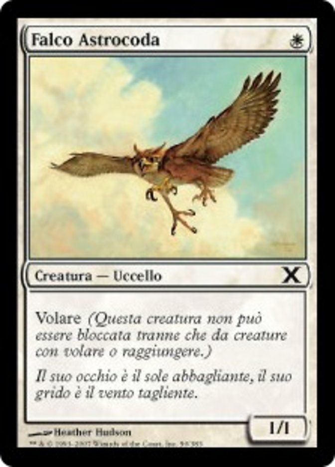 Carta MTG-Falco Astrocoda-Decima Edizione-N.050-ITA-EX-Common