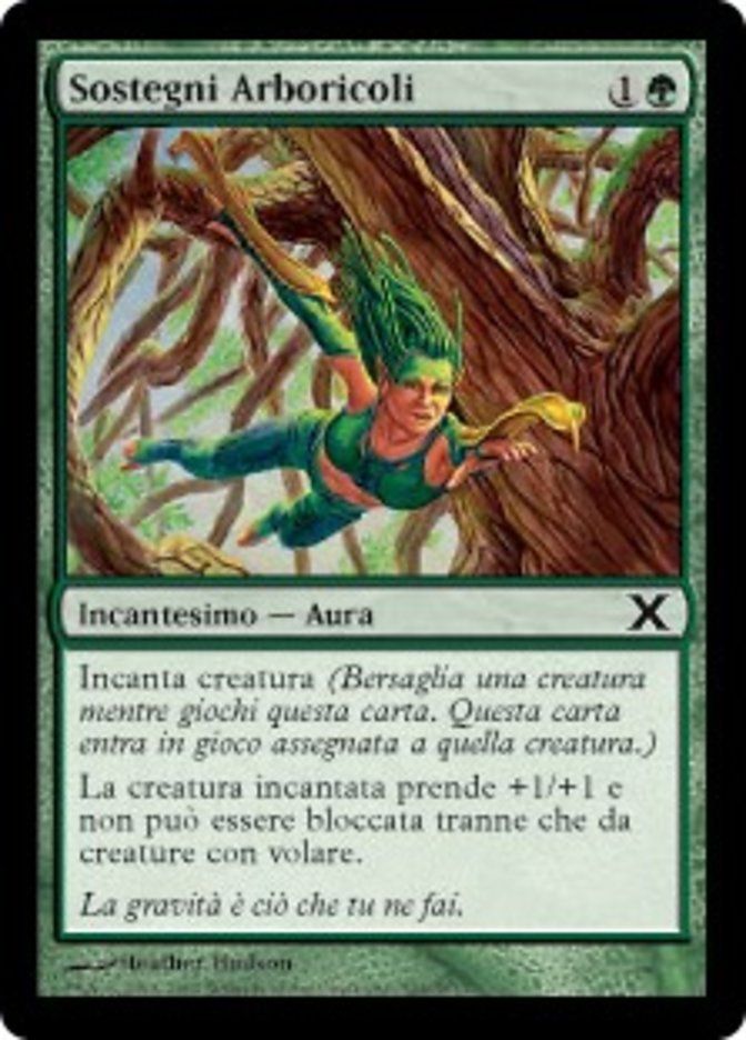 Carta MTG-Sostegni Arboricoli-Decima Edizione-N.304-ITA-EX-Common