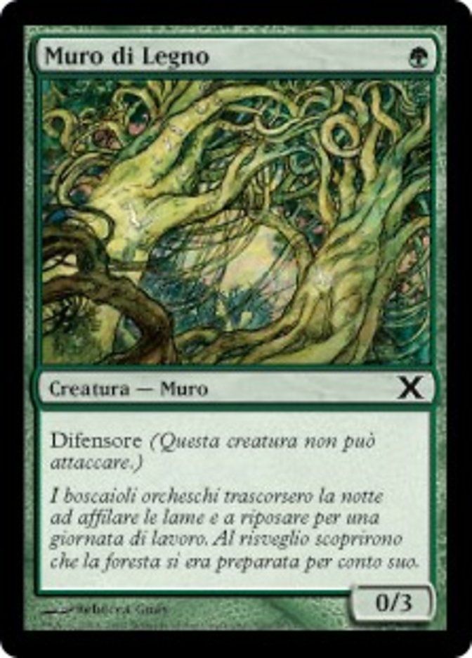 Carta MTG-Muro di Legno-Decima Edizione-N.309-ITA-Poor-Common