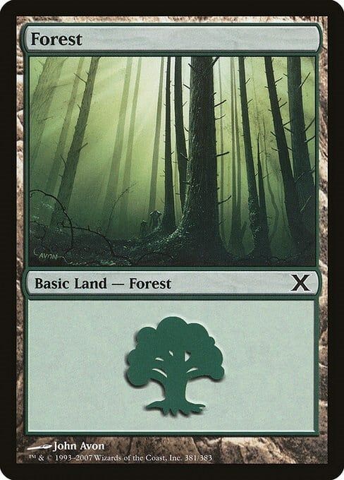 Carta MTG-Foresta (V.2)-Decima Edizione-N.381-SPA-EX-Common