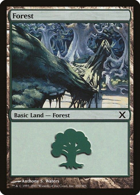 Carta MTG-Foresta (V.1)-Decima Edizione-N.380-ITA-EX-Common