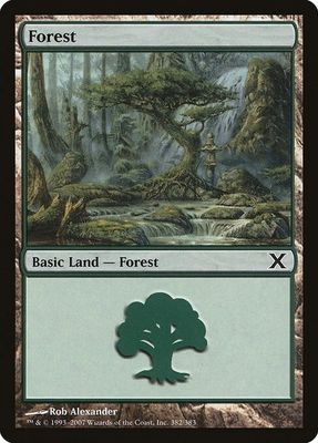 Carta MTG-Foresta (V.2)-Decima Edizione-N.382-ITA-EX-Common Carta MTG-Foresta (V.2)-Decima Edizione-N.382-ITA-EX-Common