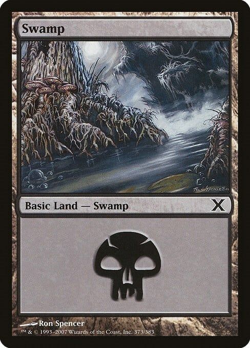 Carta MTG-Palude (V.2)-Decima Edizione-N.373-ITA-EX-Common