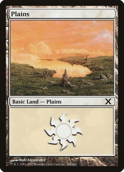 Carta MTG-Pianura (V.1)-Decima Edizione-N.364-ITA-EX-Common