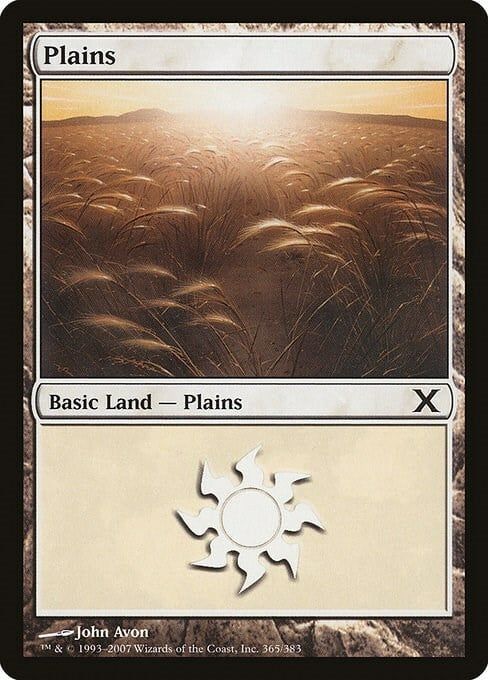 Carta MTG-Pianura (V.2)-Decima Edizione-N.365-ITA-Good-Common