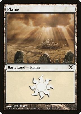 Carta MTG-Pianura (V.3)-Decima Edizione-N.366-ITA-EX-Common