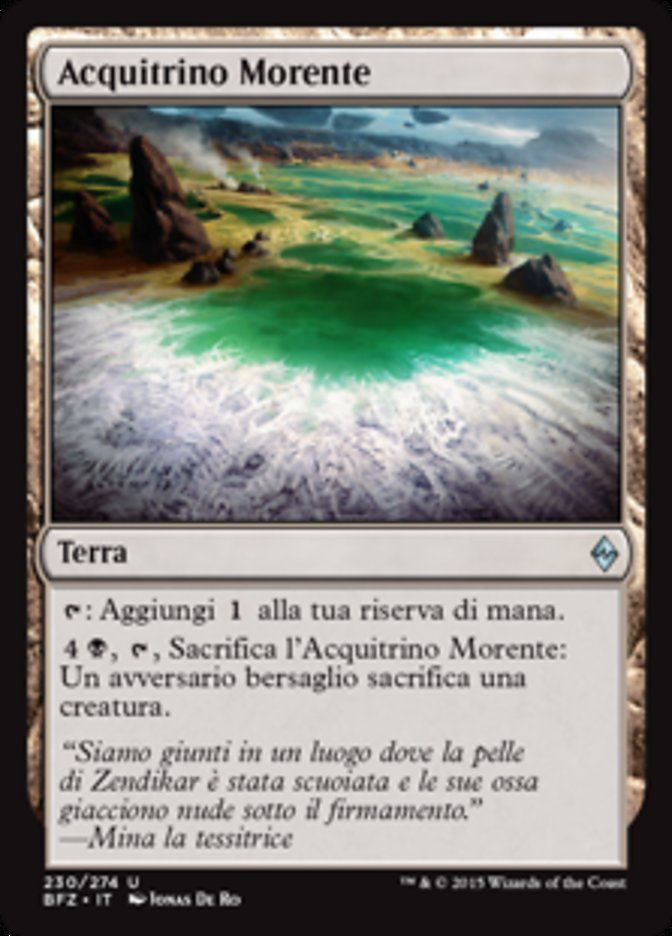 Carta MTG-Acquitrino Morente-Battaglia per Zendikar-N.230-ITA-EX-Uncommon