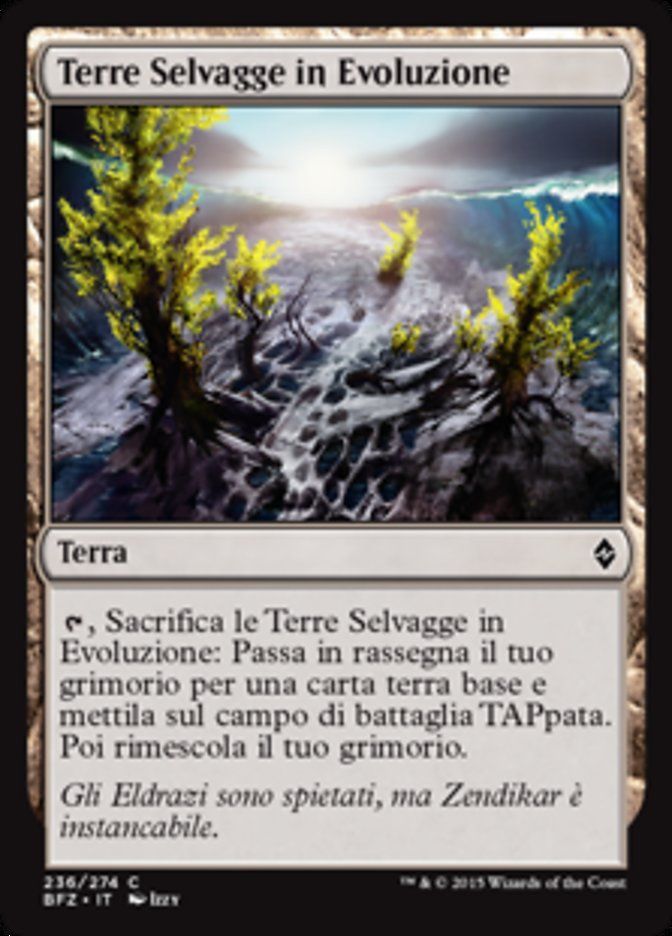 Carta MTG-Terre Selvagge in Evoluzione-Battaglia per Zendikar-N.236-ITA-EX-Com