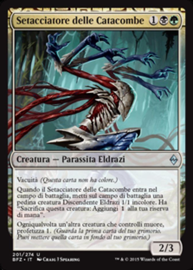 Carta MTG-Setacciatore delle Catacombe-Battaglia per Zendikar-N.201-ITA-EX-Unc