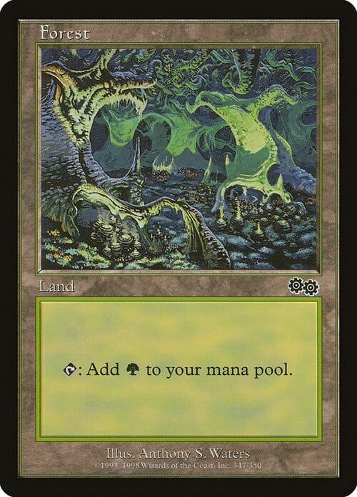 Carta MTG-Foresta (V.1)-Saga di Urza-N.347-ITA-Good-Common