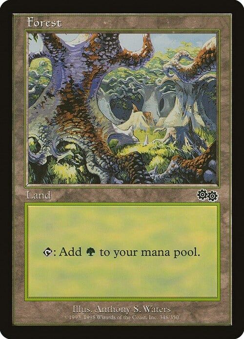 Carta MTG-Foresta (V.2)-Saga di Urza-N.348-ITA-Good-Common