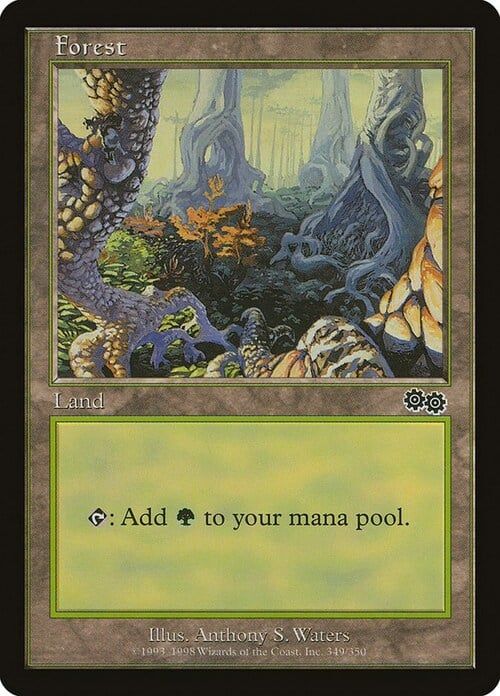 Carta MTG-Foresta (V.3)-Saga di Urza-N.349-ITA-Good-Common