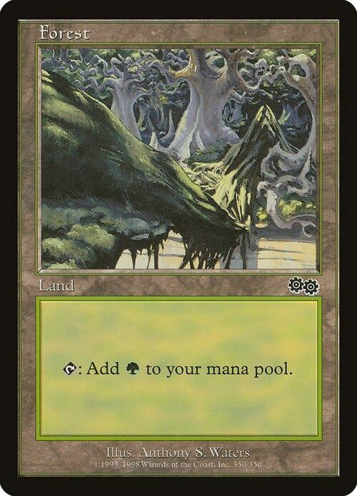 Carta MTG-Foresta (V.4)-Saga di Urza-N.350-ITA-Good-Common