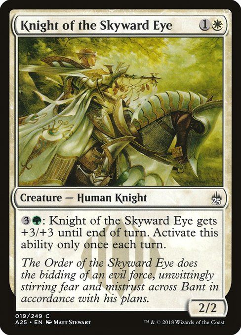 Carta MTG-Knight of the Skyward Eye-Masters 25-19-EN-NM-C