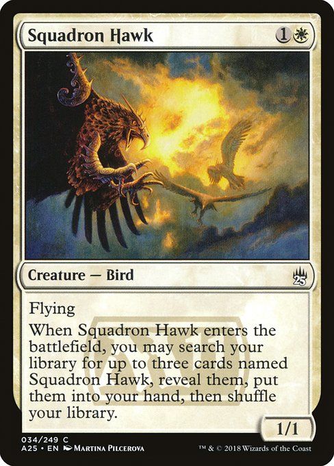 Carta MTG-Squadron Hawk-Masters 25-34-EN-NM-C