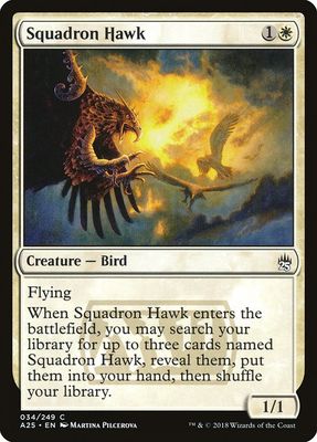 Carta MTG-Squadron Hawk-Masters 25-34-EN-NM-C Carta MTG-Squadron Hawk-Masters 25-34-EN-NM-C
