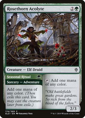 Carta MTG-Rosethorn Acolyte // Seasonal Ritual-Throne of Eldraine-174-EN-EX- C Carta MTG-Rosethorn Acolyte // Seasonal Ritual-Throne of Eldraine-174-EN-EX- C