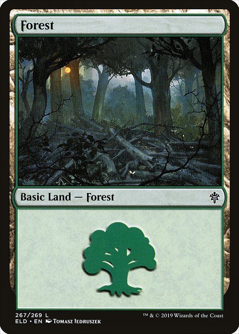 Carta MTG-Forest Ver.2-Throne of Eldraine-267-EN-EX- C