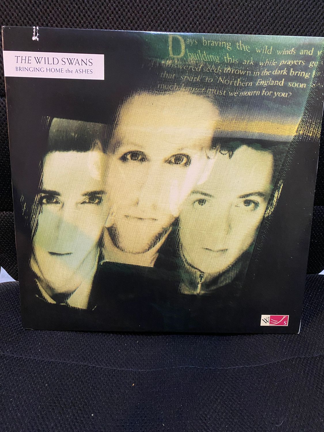 Vinile, LP, Album-The Wild Swans – Bringing Home The Ashes-US-Rock-1988-VG+/VG+