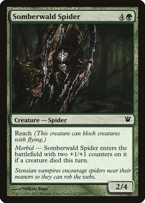 Carta MTG-Ragno di Somberwald-Innistrad-202-ITA-EX- C