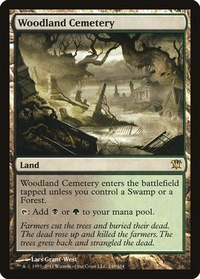 Carta MTG-Woodland Cemetery-Innistrad-249-EN-EX- R