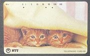 Scheda Telefonica NTT Giappone 105 Unità - Gattini Sotto la Coperta (1995) Scheda Telefonica NTT Giappone 105 Unità - Gattini Sotto la Coperta (1995)
