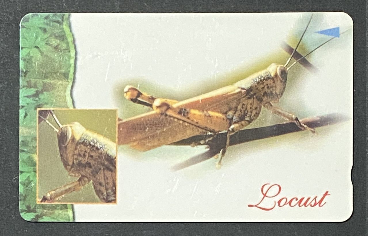 Scheda Telefonica Singapore Telecom Locust Locusta Insetti $10 Usata Scheda Telefonica Singapore Telecom Locust Locusta Insetti $10 Usata